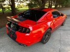 Thumbnail Photo 18 for 2013 Ford Mustang Shelby GT500 Coupe